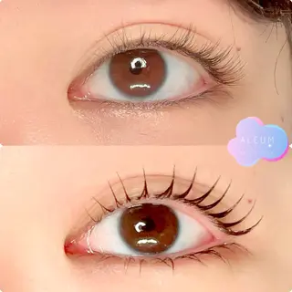 マツエク・マツパ 🌈ALEUM.🌈 アルムのマツエク・マツパデザイン