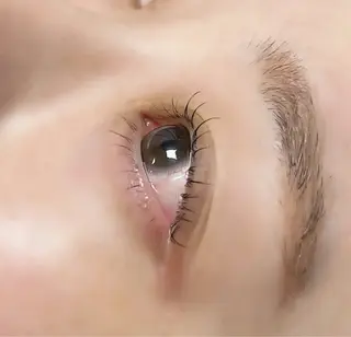 マツエク・マツパ RITZ by CLAIR所属・荻原 希蘭のマツエク・マツパデザイン