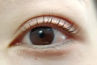 マツエク・マツパ Viola eyelash＆eyebrow所属・Viola まつ毛と眉毛の専門店のマツエク・マツパデザイン