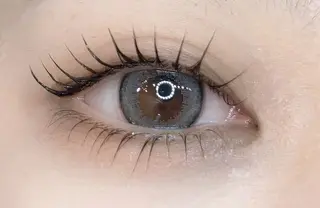 マツエク・マツパ アレグレス所属・アレグレス@池袋 🌹大人気店🌹のマツエク・マツパデザイン