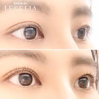 マツエク・マツパ LUCULIA 広尾のマツエク・マツパデザイン