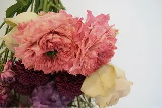 マツエク・マツパ SALON VILLAGE Yokohama所属・横浜アイリスト 藍田のマツエク・マツパデザイン