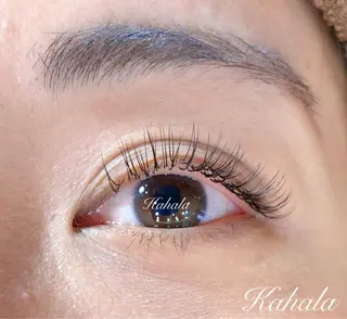 マツエク・マツパ NISAKA 🦸🏻‍♀️のマツエク・マツパデザイン