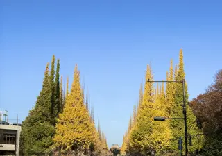 パーソナルカラー診断 ボニットBoknitのその他イメージ