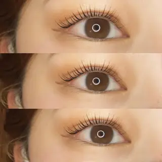 マツエク・マツパ 《eyelash ｉｉｔｅ》森のマツエク・マツパデザイン