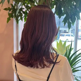 セミロング カラー カラー/韓国レイヤー /ブリーチ/hinaのヘアスタイル