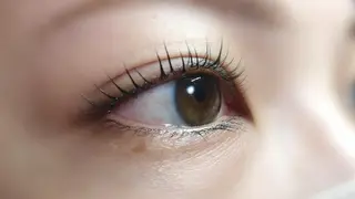 マツエク・マツパ angelux 所属・完全個室サロン🌹 angelux🌹のマツエク・マツパデザイン