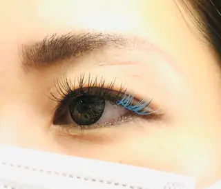 マツエク・マツパ トータルビューティー アイリーのマツエク・マツパデザイン