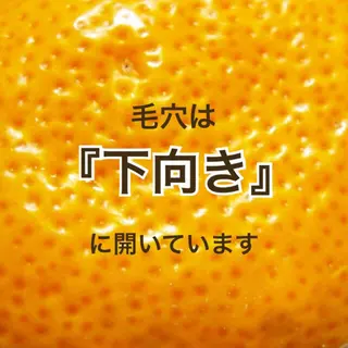 都度払い肌質改善 &脱毛Blancheのエステ・リラクイメージ