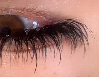 マツエク・マツパ 海外風まつげ眉毛 恵比寿|masayoのマツエク・マツパデザイン