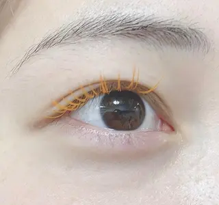 マツエク・マツパ ✧elpatio✧︎ 小出紗羅のマツエク・マツパデザイン