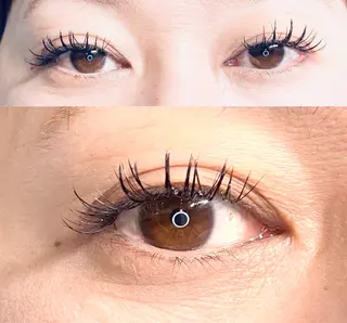 マツエク・マツパ LEDエクステ専門店 Fedis 京橋のマツエク・マツパデザイン