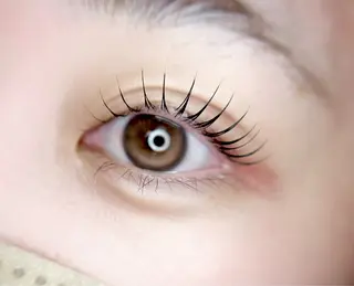 マツエク・マツパ eyelist. mizuki🐈‍⬛の眉毛・アイブロウイメージ