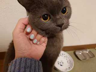 ネイル モナ& ナナのネイルデザイン