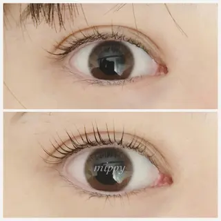 マツエク・マツパ ｍｉｐｐｙ 🪽のマツエク・マツパデザイン