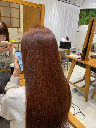 ロング 【ショート/ボブ】 似合わせ/ショータのヘアスタイル