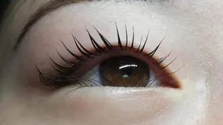 マツエク・マツパ angelux 所属・完全個室サロン🌹 angelux🌹のマツエク・マツパデザイン