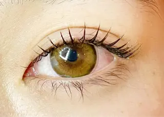 マツエク・マツパ Celeste Venus所属・🧸Celeste Venusのマツエク・マツパデザイン