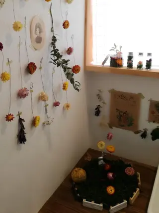 佐藤 美咲のヘアスタイル