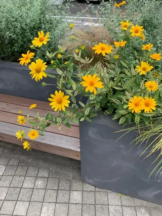 カラー パーマ pu+on. nailworks所属・fuyumi / ニュアンスネイルのネイルデザイン