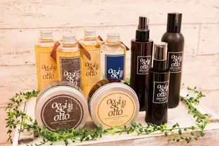 アオガミ （前髪顔周りカット）のヘアスタイル