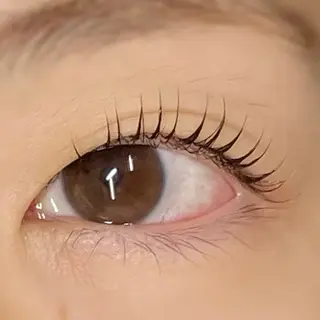 マツエク・マツパ まつげと眉毛のお店Sakura Lash【サクララッシュ】所属・【ダメージケア特化】 🌸 サクララッシュの眉毛・アイブロウイメージ