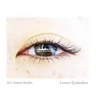 マツエク・マツパ まつげ&眉の専門店 アントススタッフの眉毛・アイブロウイメージ