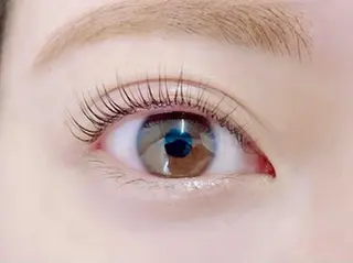 マツエク・マツパ アイブロウ share eyelashのマツエク・マツパデザイン