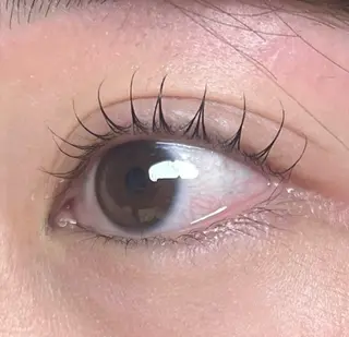 マツエク・マツパ 👑𝐊𝐢𝐧𝐠 心斎橋店🎀美麗👑のマツエク・マツパデザイン