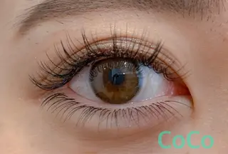 マツエク・マツパ Coco所属・Eyelash CoCoのマツエク・マツパデザイン