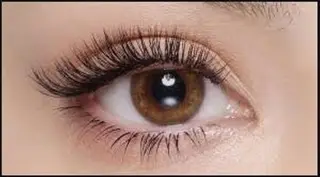 マツエク・マツパ eyelashsalon melia所属・eyelash meliaのマツエク・マツパデザイン