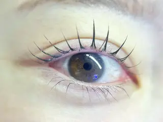 マツエク・マツパ eyelash salon VOSSのマツエク・マツパデザイン