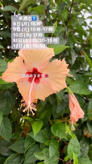 Blue Mist所属・清水 由希のエステ・リラクイメージ