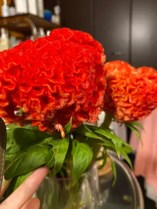 Mandarin Orange所属・毛穴から始める肌メン テマンダリンオレンジのエステ・リラクイメージ