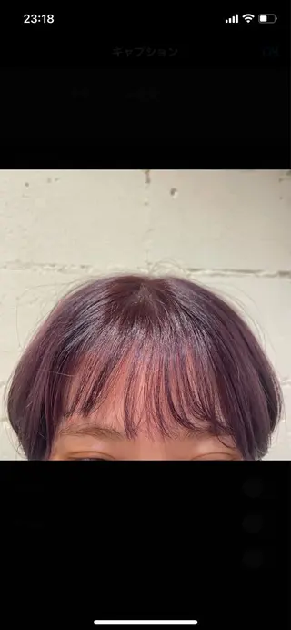 ショート カラー アンサイ 成増のヘアスタイル