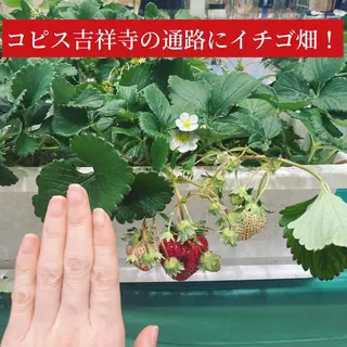 メンズ ネイル ハンドケア&ネイルケア桃の木所属・ケアリスト🍀 マリユキのネイルデザイン