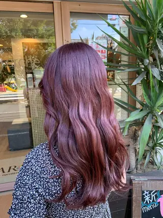 セミロング カラー 🤍透明感/韓国風 🤍サクラギヒトミのヘアスタイル