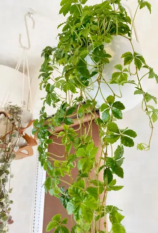 ダイエット・美肌ケア fleurのエステ・リラクイメージ