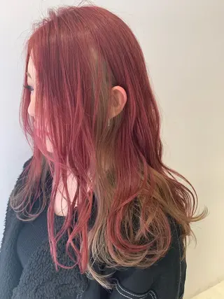 セミロング カラー ハイトーン/ウルフ /小澤凌祐🦕のヘアスタイル