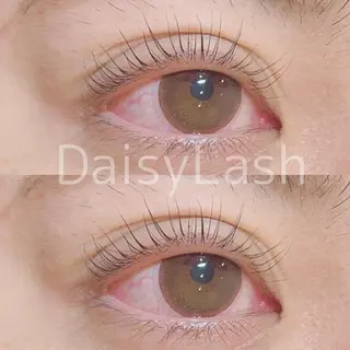 マツエク・マツパ DaisyLash 京橋店のマツエク・マツパデザイン