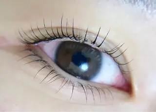 マツエク・マツパ Plume micoのマツエク・マツパデザイン