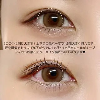 マツエク・マツパ 恵比寿駅4分🩶 垢抜け眉&まつ毛🫧の眉毛・アイブロウイメージ