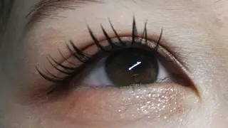 マツエク・マツパ angelux 所属・完全個室サロン🌹 angelux🌹のマツエク・マツパデザイン