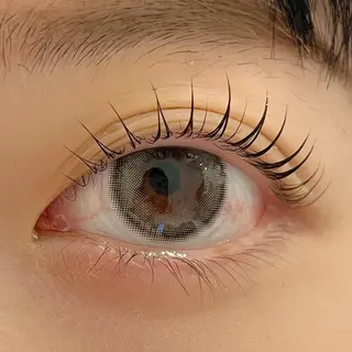 マツエク・マツパ 一重専門🎀束感 まつげ🫧表参道の眉毛・アイブロウイメージ