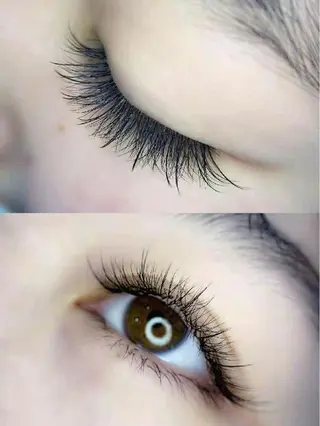 マツエク・マツパ 胡蝶蘭レディースサロン所属・胡蝶蘭レディースサロ ン眉マツパエクステの眉毛・アイブロウイメージ