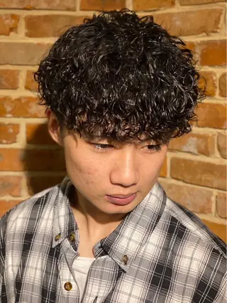 パーマ メンズ メンズカット/ マッスルのヘアスタイル