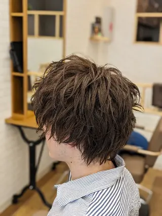 ショート カラー 根岸 進のヘアスタイル