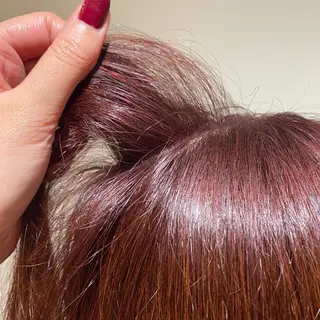 ロング カラー 長谷川 華奈子のヘアスタイル