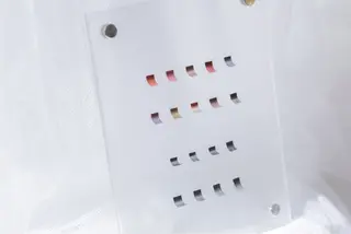 マツエク・マツパ beauty salon Primus所属・Primus ﾌﾟﾘﾑｽのマツエク・マツパデザイン