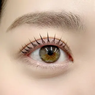 ãããšã¯ã»ããã orage.æå±ã»yoko ðå宀ãµãã³ðã®ãããšã¯ã»ããããã¶ã€ã³